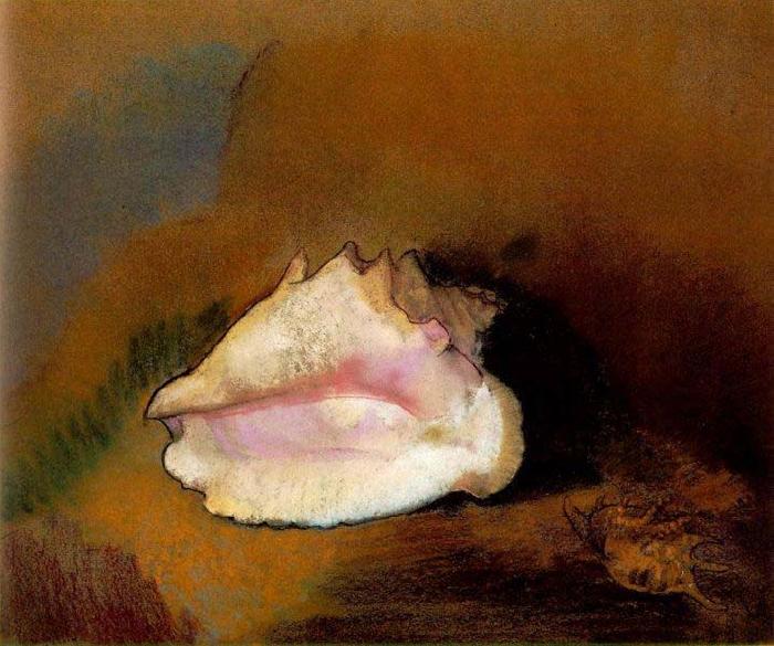 Odilon Redon Coquille China oil painting art